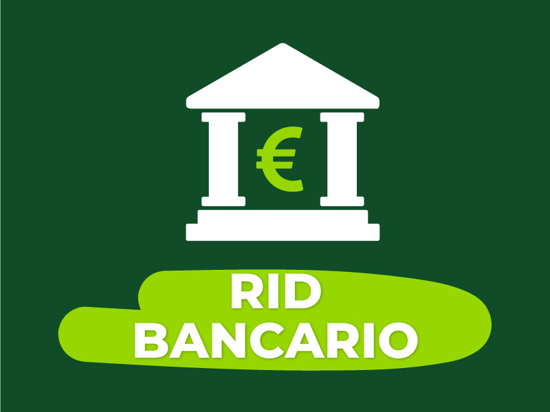 Soggiorni studio per ragazzi dai 16 anni: Young Adults